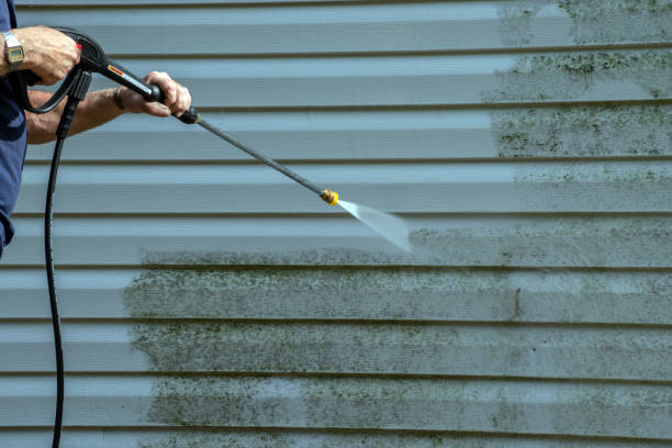 Best Solar Panel Cleaning  in Fannett, TX